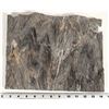 Image 1 : Homestake Formation Specimen, Homestake Mine, South Dakota [199465]