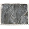 Image 3 : Homestake Formation Specimen, Homestake Mine, South Dakota [199465]