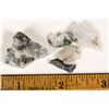 Image 1 : Homestake Mine High Grade Gold Ore Specimens [199476]