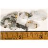 Image 2 : Homestake Mine High Grade Gold Ore Specimens [199476]