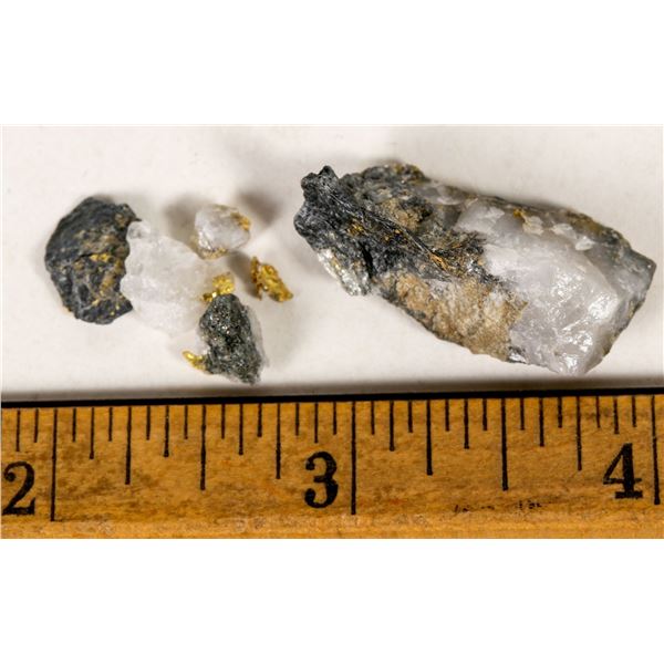 Homestake Mine High Grade Gold Specimen Group [199477]