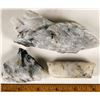 Image 1 : Homestake Mine Ore Specimen Group Showing Native Gold [199473]
