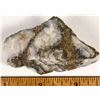 Image 1 : Larger Homestake Mine High Grade Gold Ore Specimen [199478]