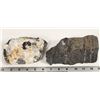 Image 1 : Two Ore Specimens from the Homestake Mine [199451]
