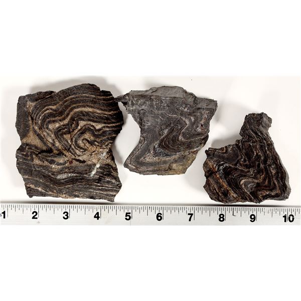 Poorman Formation, Homestake Mine Ore Specimens [199453]