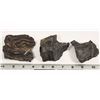 Image 3 : Poorman Formation, Homestake Mine Ore Specimens [199453]