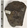 Image 3 : Port Radium High Grade Ore Specimen, Great Bear Lake, Northwest Territories [190929]