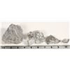 Image 2 : Penasquito, Mexico Ore Specimens [199398]