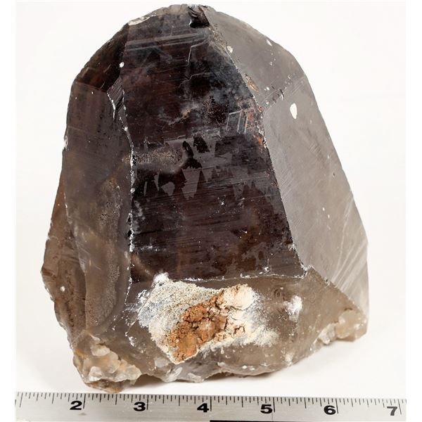 Large Dark Smoky Quartz Crystal [198873]