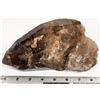 Image 1 : Large Dark Smoky Quartz Crystal [198874]
