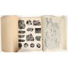 Image 2 : Joplin Mining District Geologic Atlas Folio, 1907 & 1914 [199974]