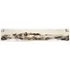 Image 3 : Eagle-Picher Lead-Zinc Company Collection [199973]