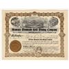 Image 1 : Avawatz Mountain Gold Mining Company Stock Certificate [200318]