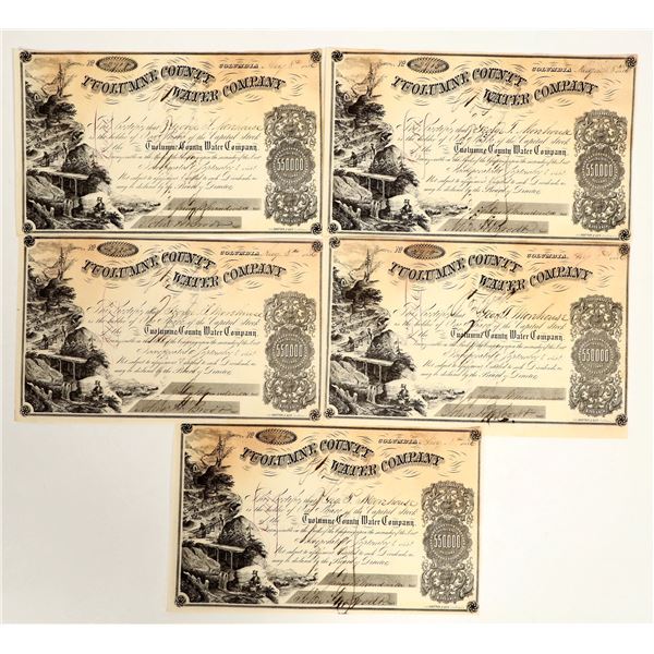 Tuolumne County Water Co. Stocks Signed by DO Mills (5) [199269]