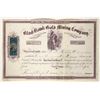 Image 1 : Black Hawk Gold Mining Company Stock Certificate [196926]