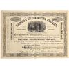 Image 1 : National Silver Mining Company Stock Certificate [200452]