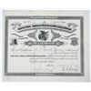 Image 1 : Teller City Colorado (Ghost Town) Mining Stock, 1882 [196510]