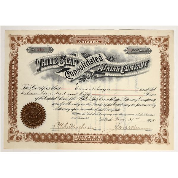 White Star Consolidated Mining Company Stock Certificate [200466]