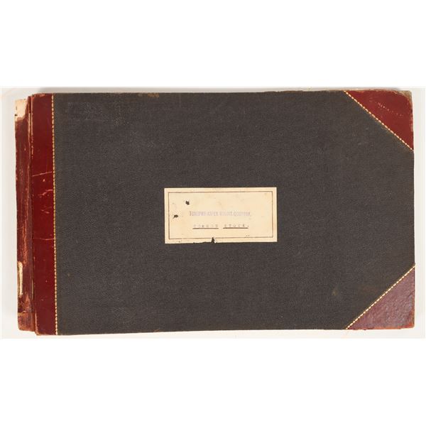 Tonopah-Aspen Mining Company Stock Certificate Ledger [197689]