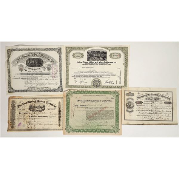 New Mexico Mining Stock Group [200180]