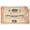 Image 1 : Deadwood-Terra Mining Company Stock Certificate [200339]