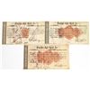 Image 1 : Panama Rail Road Company Stock Certificates - All Different RN's [199661]