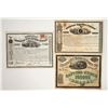 Image 1 : American Express Company Family Stock Trio incl. Wells & Fargo Signatures [197911]
