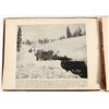 Image 2 : Calif. Mid-Winter Fair Souvenir Album [183931]