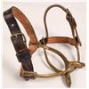 Image 1 : US Cavalry Rock Island Arsenal Spurs 1905 [161279]