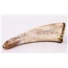 Image 1 : Original Scrimshaw Powder Horn w/ 13 Star American Flag [199761]