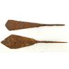 Image 2 : Projectile Points from Mongolia (2) with Art Card [200140]