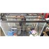 Image 2 : AQUARIUM AND ACCESSORIES