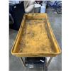Image 3 : 24" X 48" 2 TIER ROLLING CART