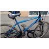 Image 2 : BLUE ALGONQUIN BIKE