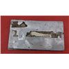 Image 2 : Vintage car club plaque Renegades 9"x5"