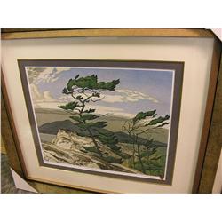 Framed Ltd Edt Print 322/795 White Pine