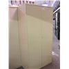 Image 1 : 3  2 Door Storage Cabinets
