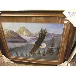 Framed Print Of An Eagle