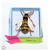 Image 1 : RHINESTONE ENAMEL BEE BROOCH 1.5 INCH +