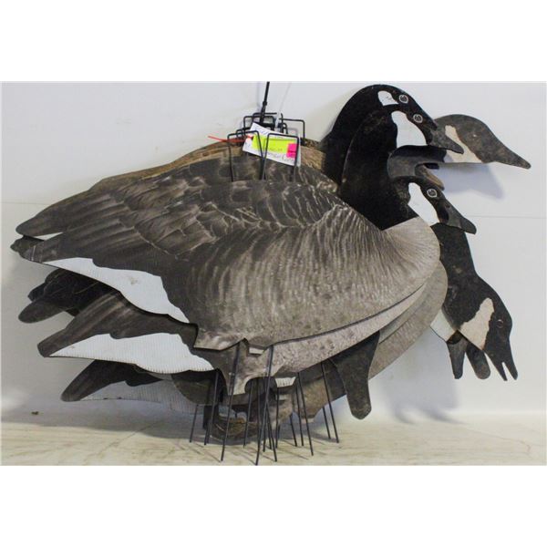 11 PLASTIC CANADIAN GOOSE DECOYS