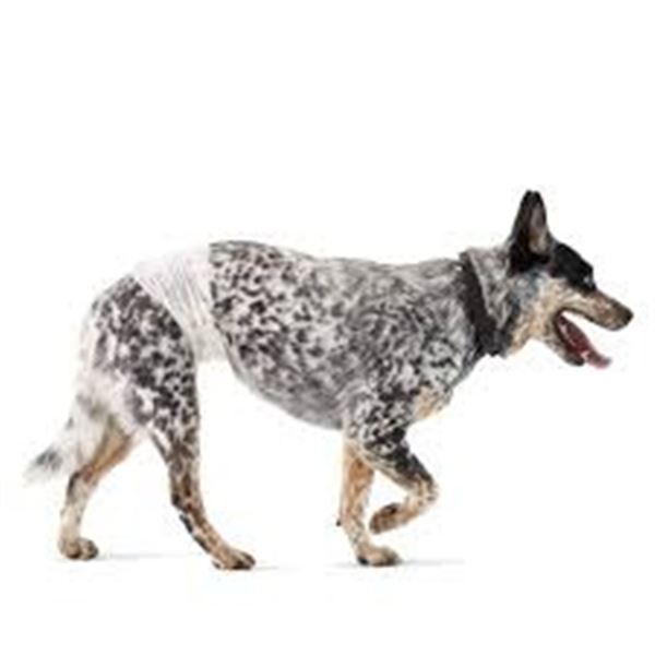 NEW AMAZON BASICS 30 MALE WRAP MEDIUM