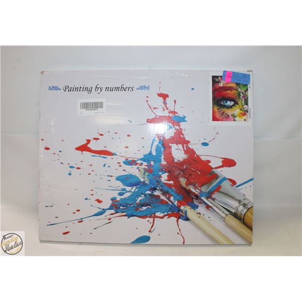 NEW PAINTING BY NUMBERS 40 X 50CM NATURES EYE