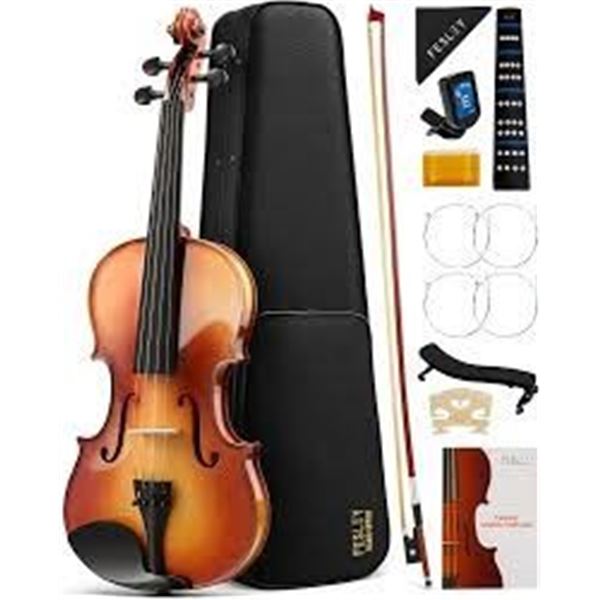 NEW FESLEY DELUXE EDITION VIOLIN SET
