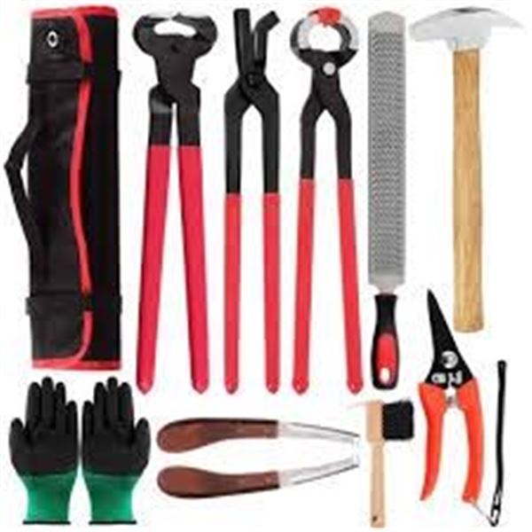 NEW SWPEET 12PC PRO FARRIER TOOLS