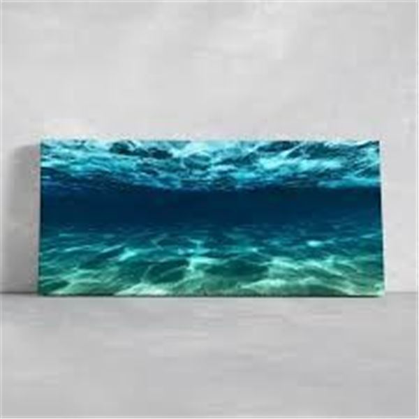 BRAND NEW CANVAS BLUE OCEAN SEA WALL 20 X 40 