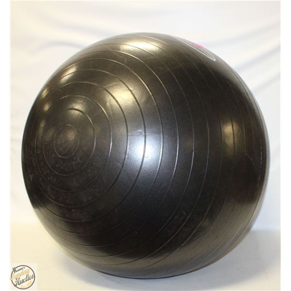 BALANCE FORM EXERCISE BALL