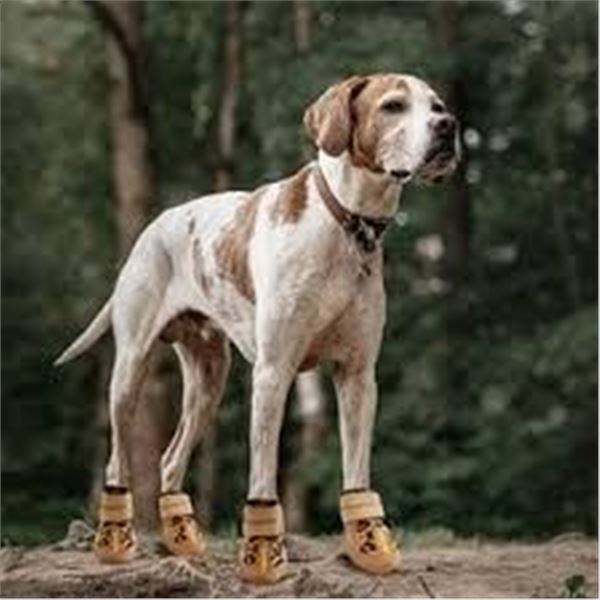 NEW QUMYPET DOG SHOES
