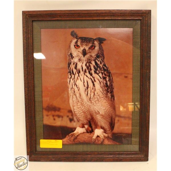 GREAT HORNED OWL PHOTO BY J MORGAN FRAMED