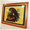 Image 1 : THE KESTREL PRINT FRAMED GLASS 27"X21"