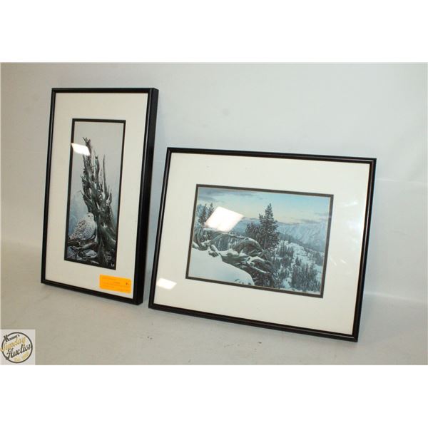 LOT OF 2 OWL PRINTS FRAMED BY STEPHEN LYM